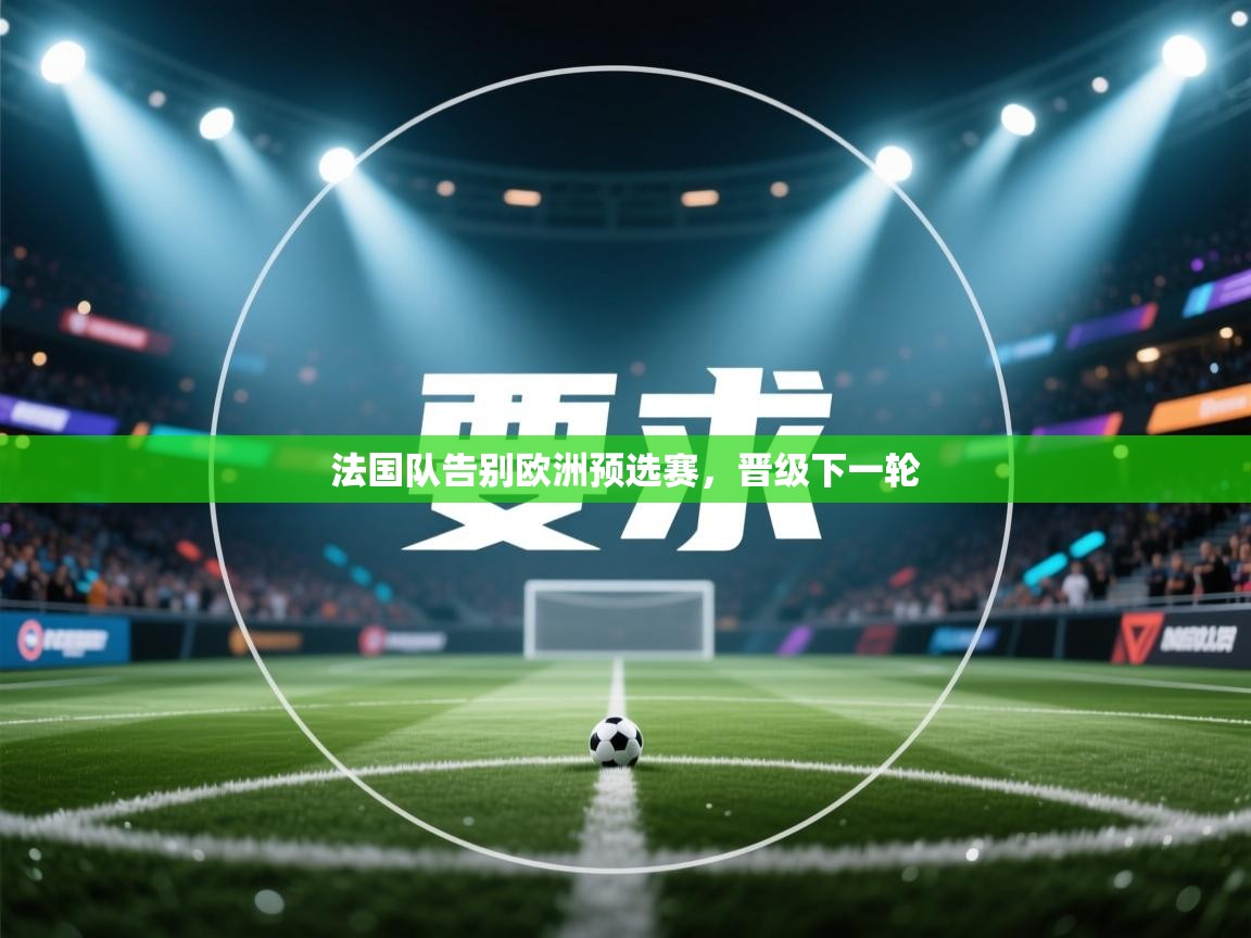 法国队告别欧洲预选赛,晋级下一轮 第1张