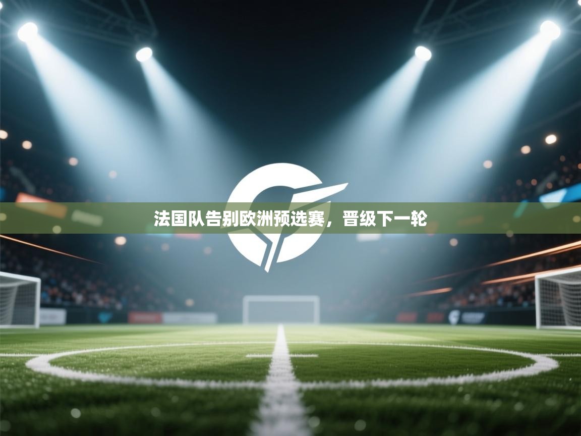 法国队告别欧洲预选赛,晋级下一轮 第2张